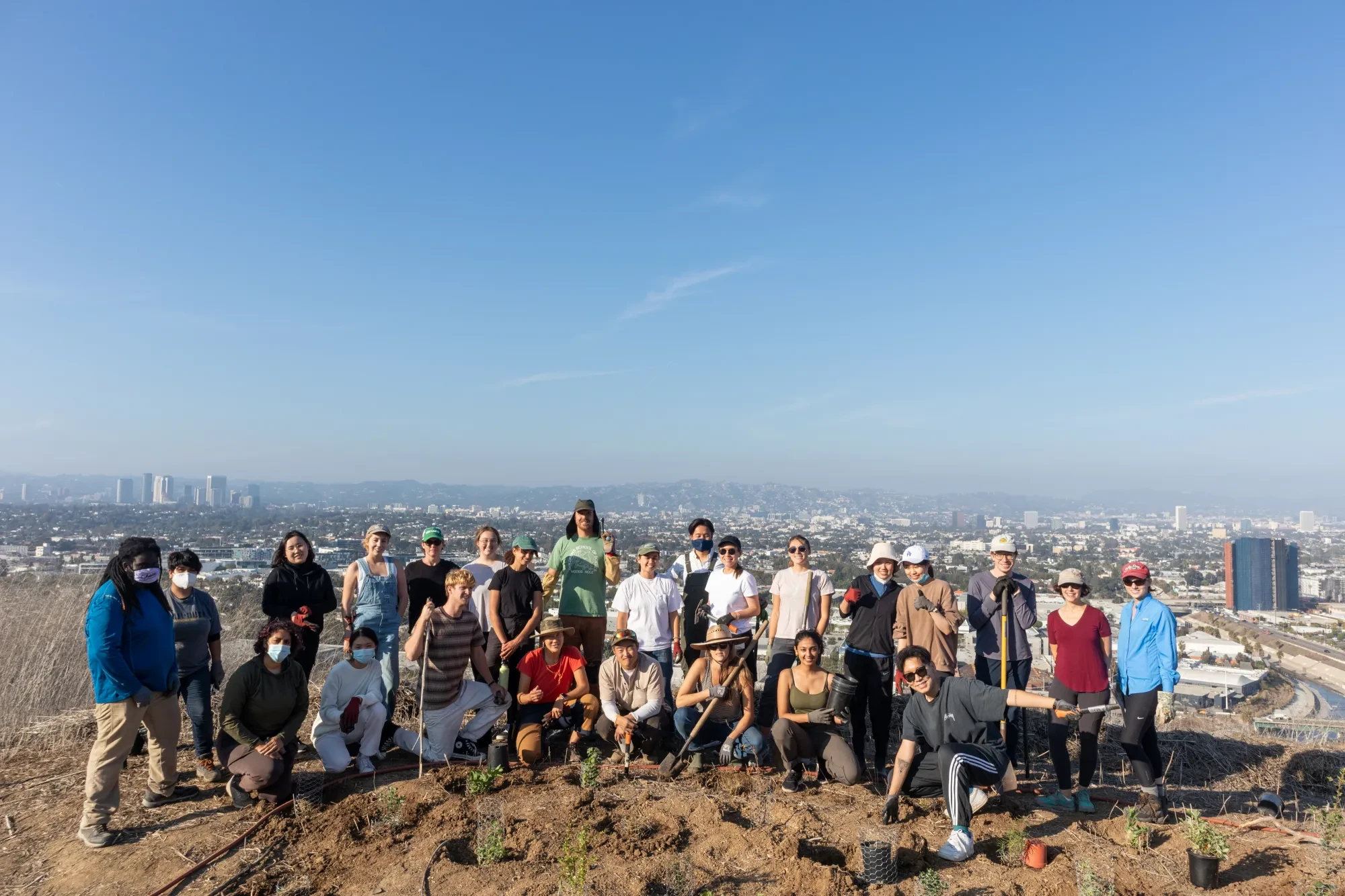 Test plots group at Baldwin Hills Scenic Overlook