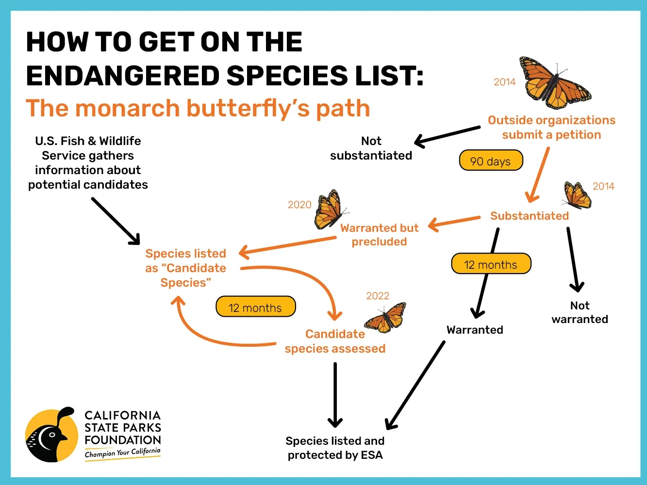 The Monarch Butterfly Has Been Added to the Endangered Species