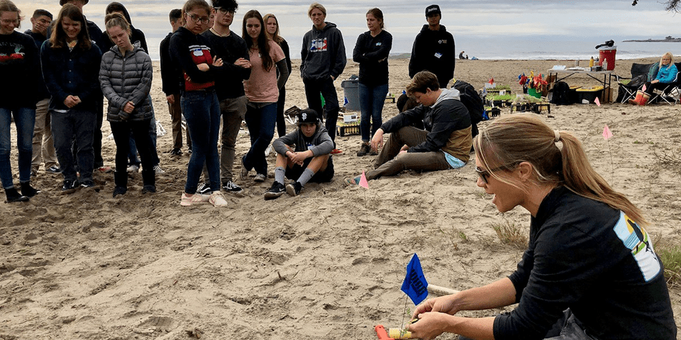 A group of students learning about living shorelines on the beach