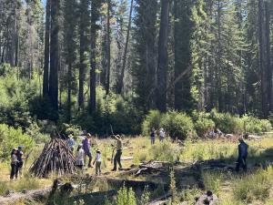 Big Basin Redwoods SP
