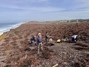 Fort Ord Dunes State Park