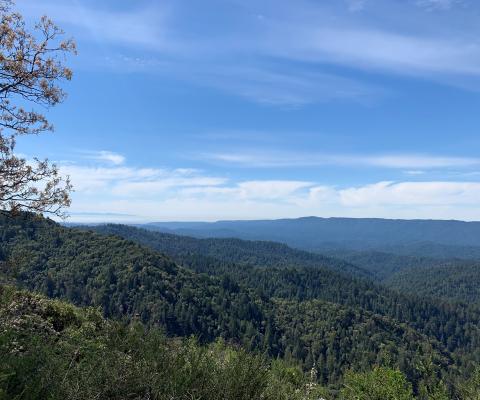 castle-rock-state-park-laura.jpg