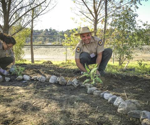 planting.jpg
