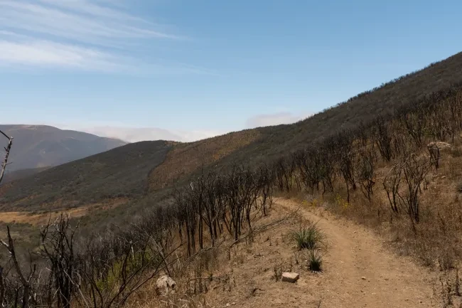 Santa Monica Mountains near Point Mugu, 2025