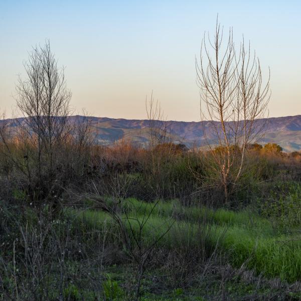 A Dos Rios sunrise. Photo by Brian Baer, courtesy of California State Parks. 