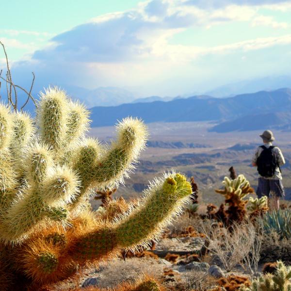 Anza Borrego Person 