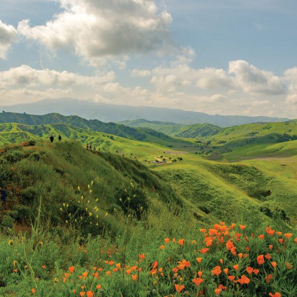 Chino Hills State Park