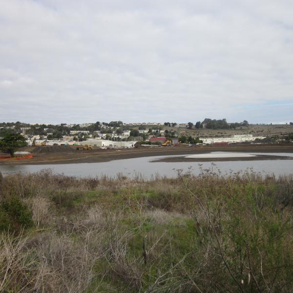 Yosemite Slough South Vista 