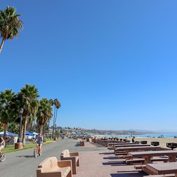 Doheny State beach