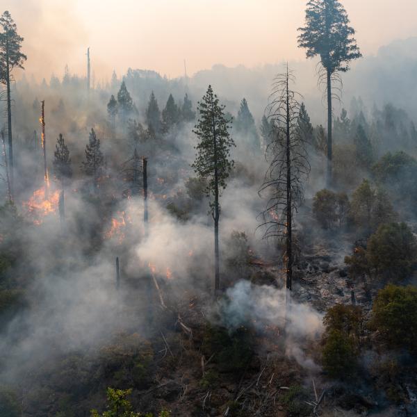 Caldore Fire