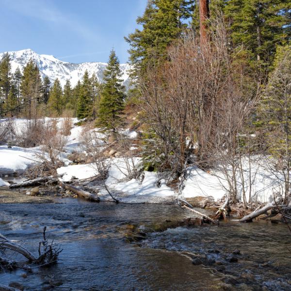 Taylor Creek, one of California’s 18 designated SNO-Parks.
