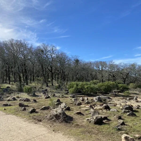 Trione-Annadel State Park