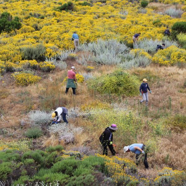 Fort Ord Dunes State Park