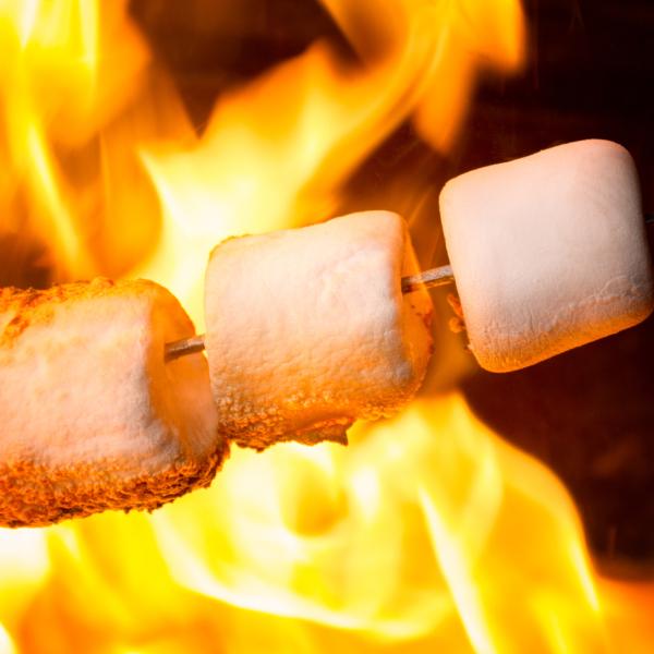 National Toasted Marshmallow Day