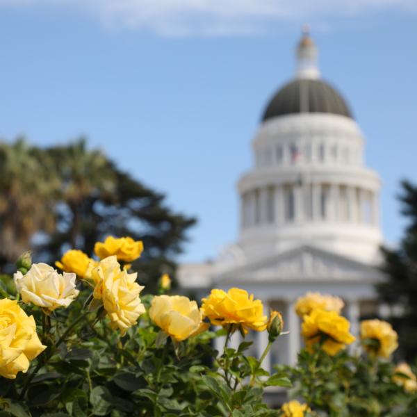 Capitol Building