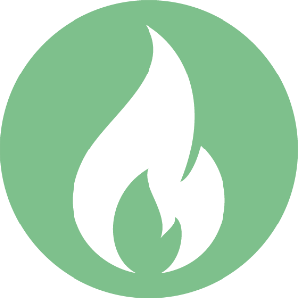 Fire Icon
