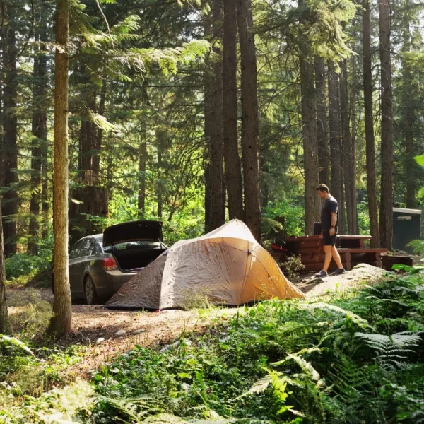 Redwoods Park