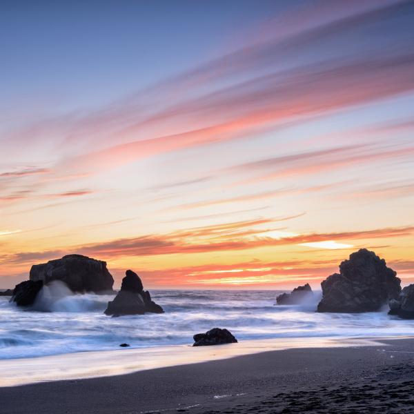 Sonoma Coast State Park