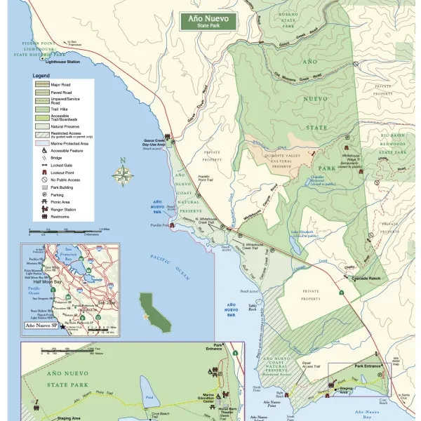 Ano Nuevo