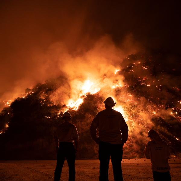 Wildfire