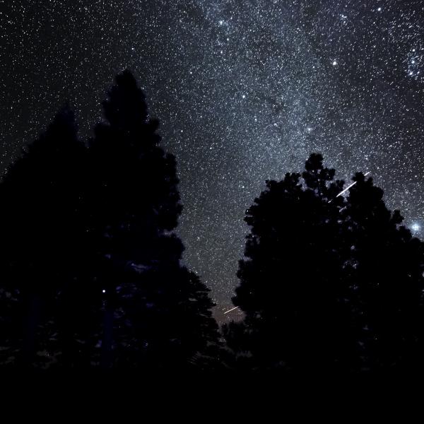 Calaveras Big Trees State Park