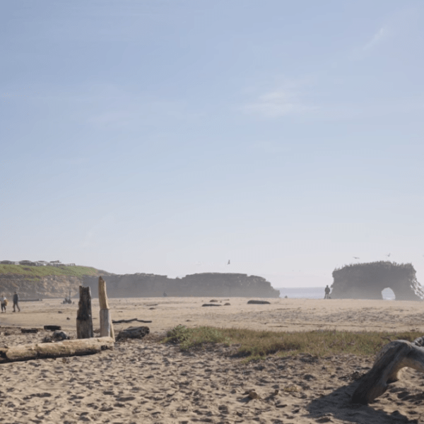 Natural Bridges State Beach