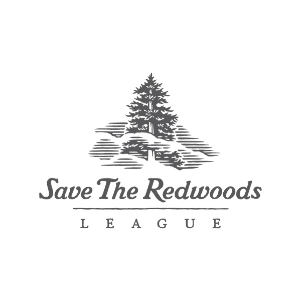 Redwoods