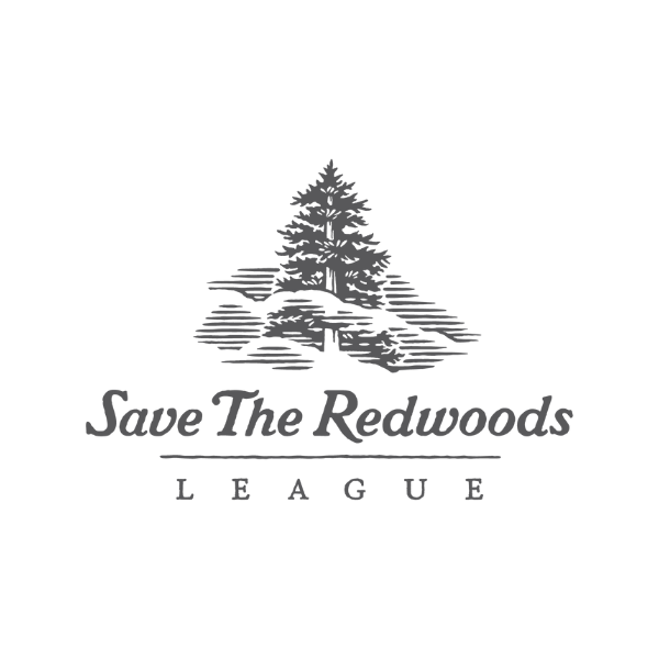 Redwoods