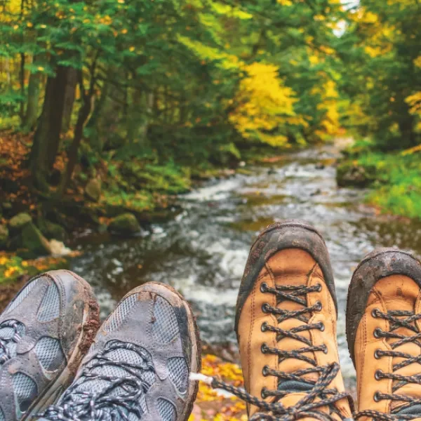 Short Hike