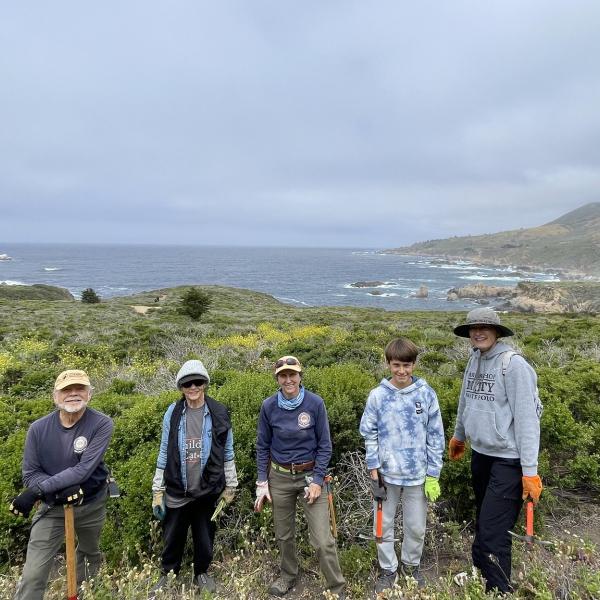 volunteers overlooking beach clearing brush and maintaining a state park