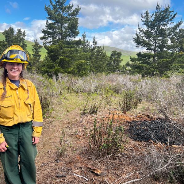 Prescribed Burns