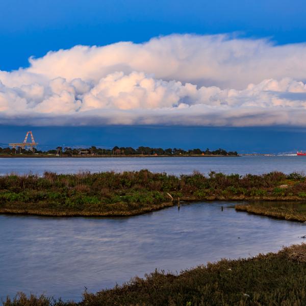 Candlestick Point State Recreation Area