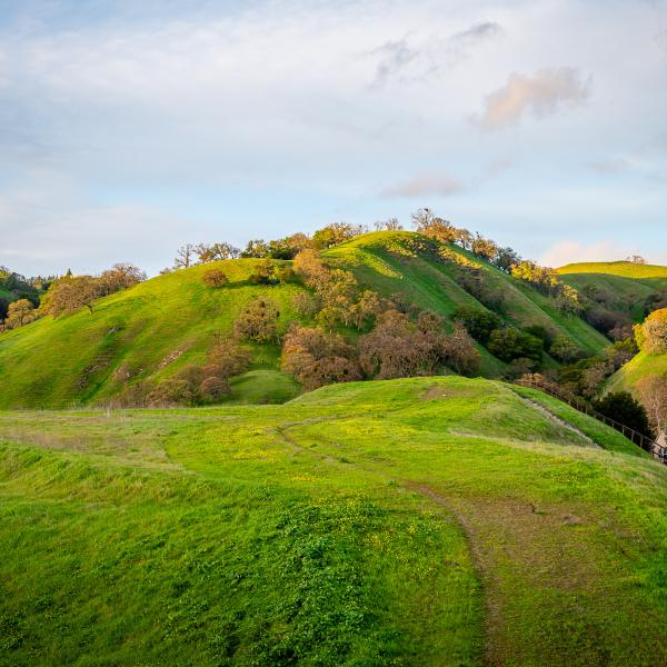 Mount Diablo State Park