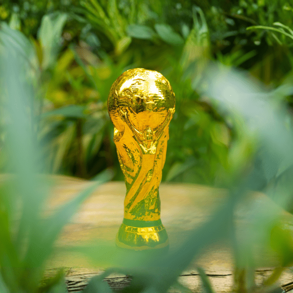 FIFA World Cup
