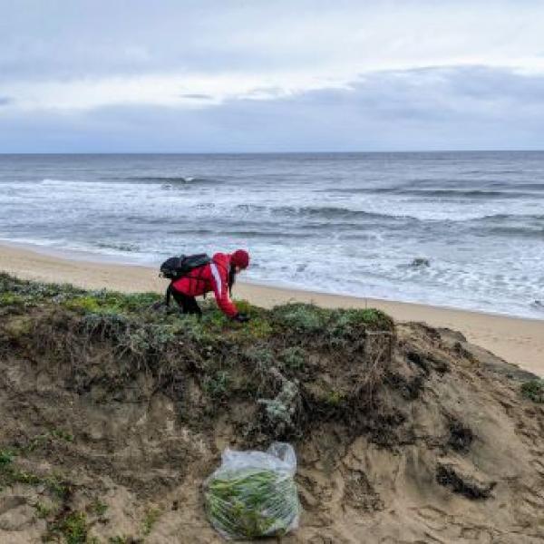 Woman volunteering at Half Moon Bay State Beach