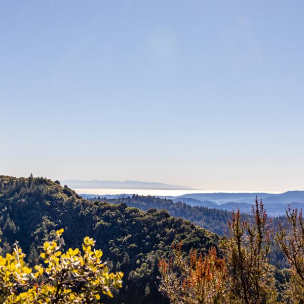 Castle Rock State Park