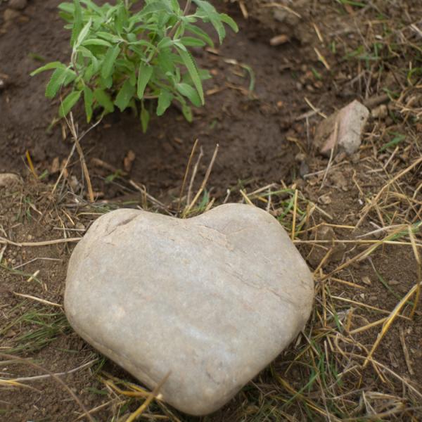 valentine-blog-heart-rock.jpg