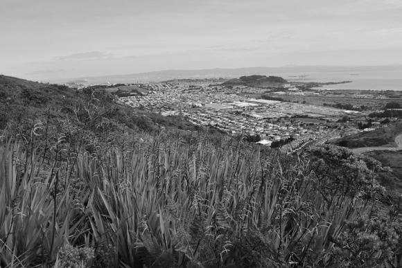 16 San Bruno Mountain