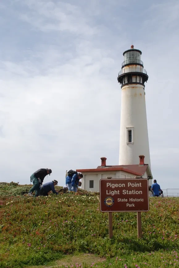 47 Pigeon Point