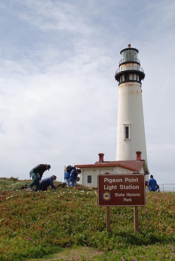 47 Pigeon Point