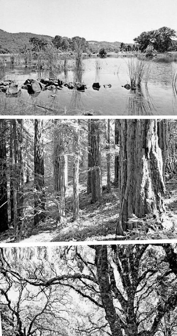 5 Annadel Farms