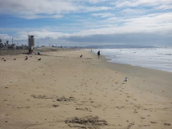 51 Silver Stand Beach